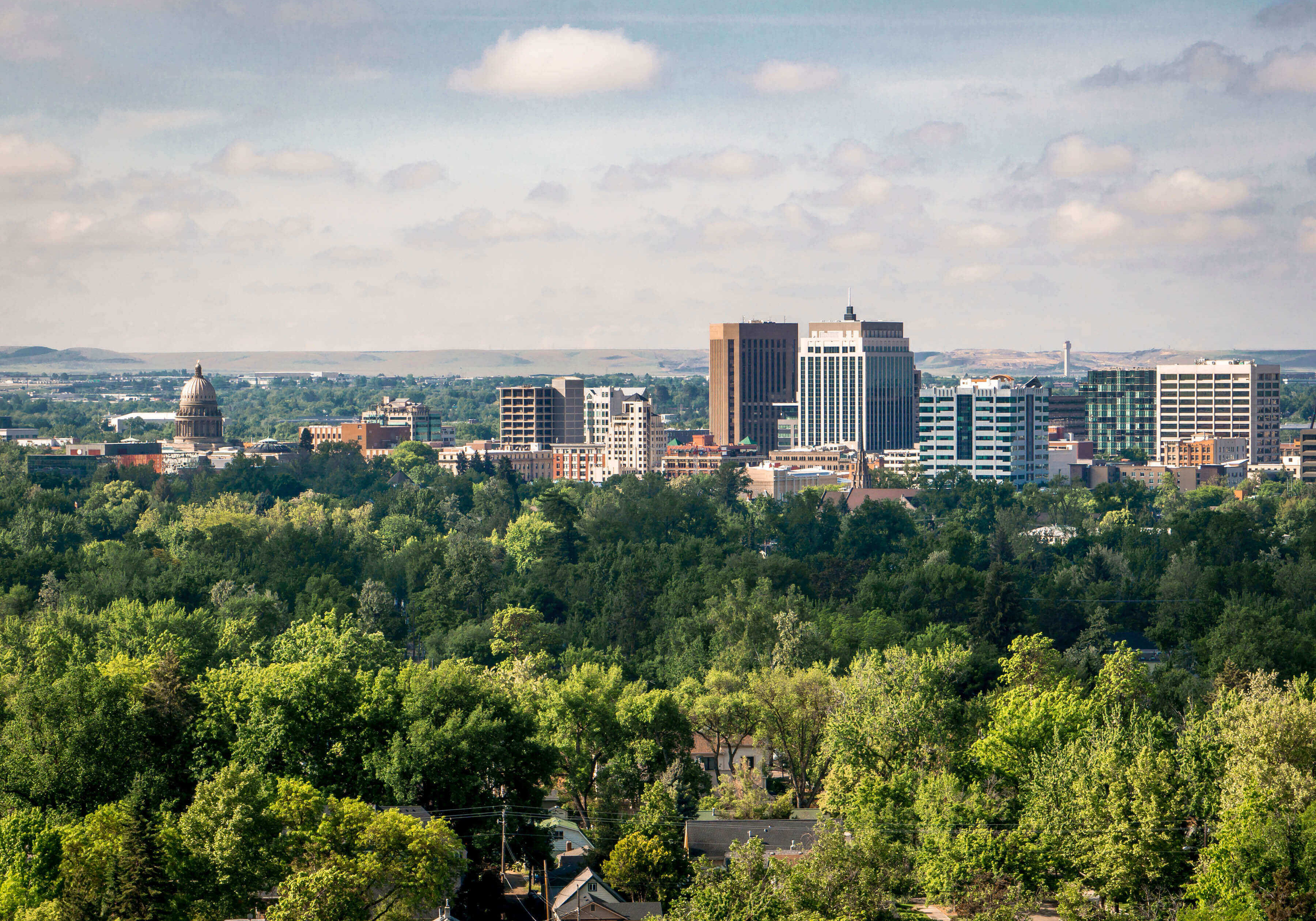 boise-skyline-green-trees