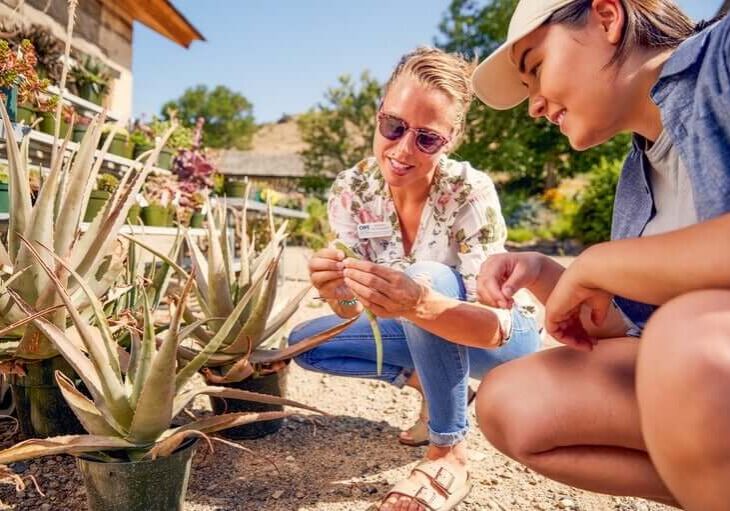 cwi_against_visionkit_primary_42595