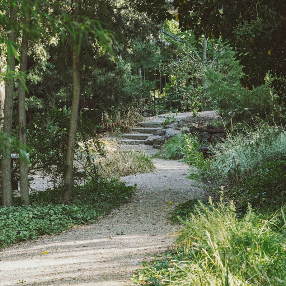 medgarden2-2